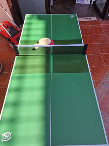 Mesa de Ping Pong Plegable con 2 Raquetas, 2 Bolas y 1 Red con Soportes,182 x 86,5 x 75 cm,