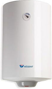 Termo Eléctrico 100L, Calentador de Agua Eléctrico 100 Litros Vertical, con Luz Piloto